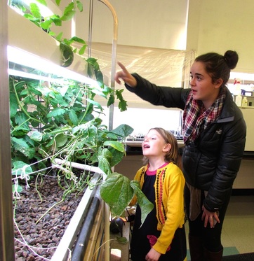 helios aquaponic greenhouse