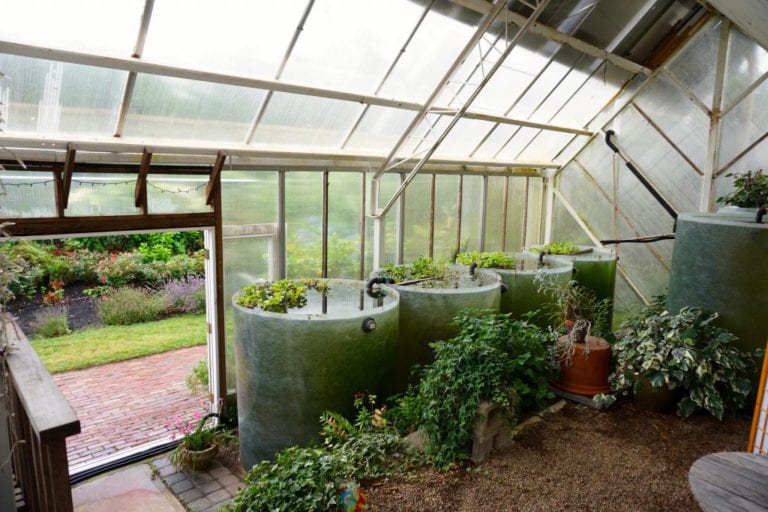 waterbarrelsgreenhouse