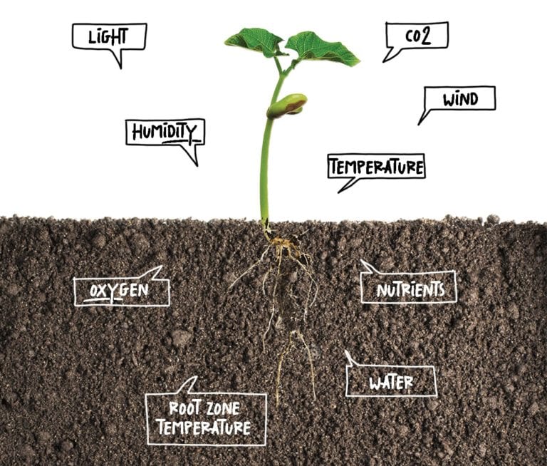 9 CARDINALS parameters