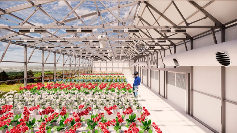 inside the sunchamber