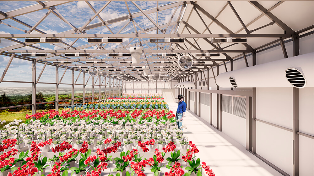 inside the sunchamber