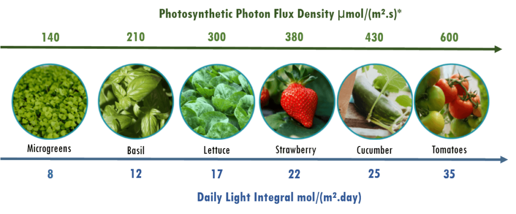 DLI chart with crops