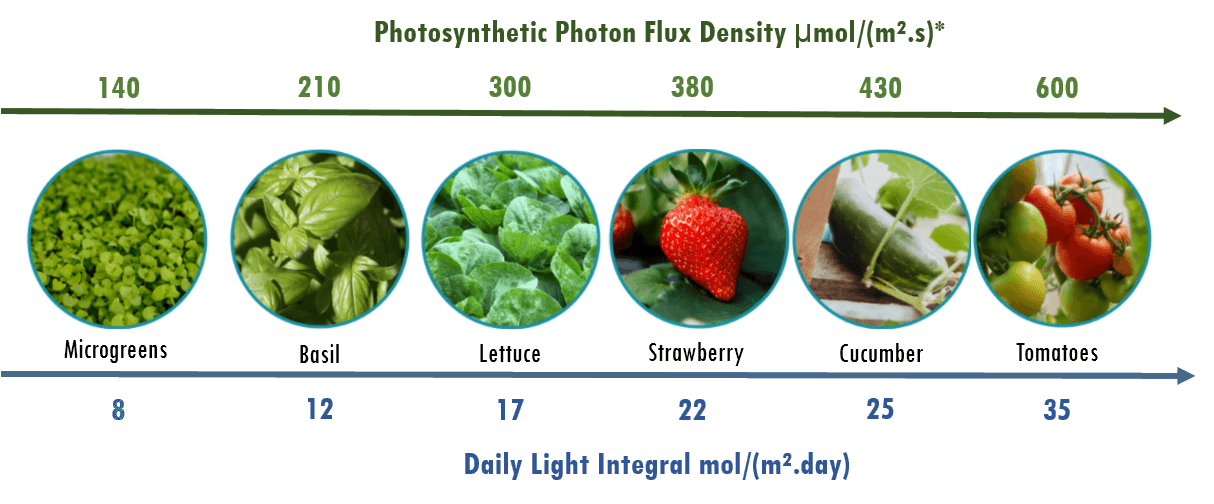 DLI chart with crops