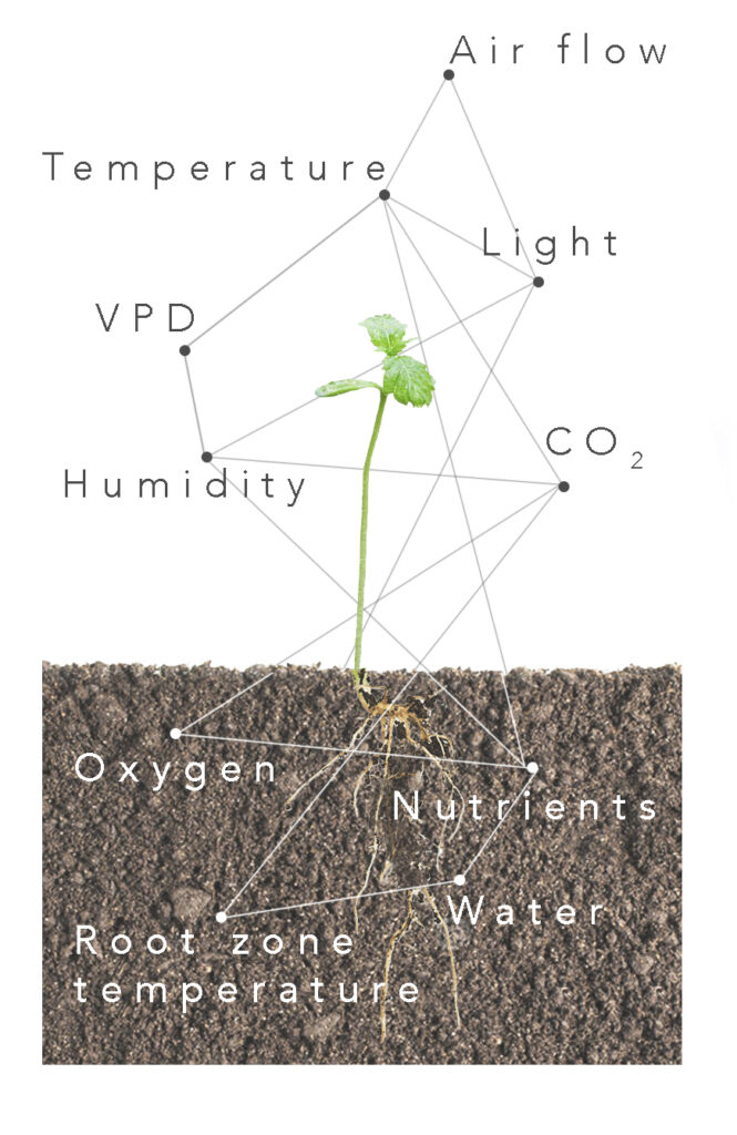 greenhouse environment control