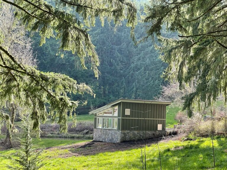 design development backyard kit greenhouse