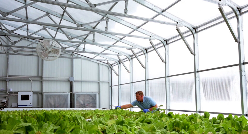High Yield Greenhouse- inside
