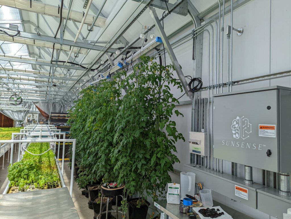 High Yield Greenhouse- SunSense