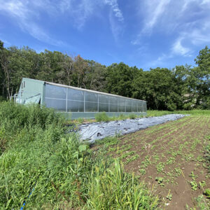 commercial-greenhouse sq