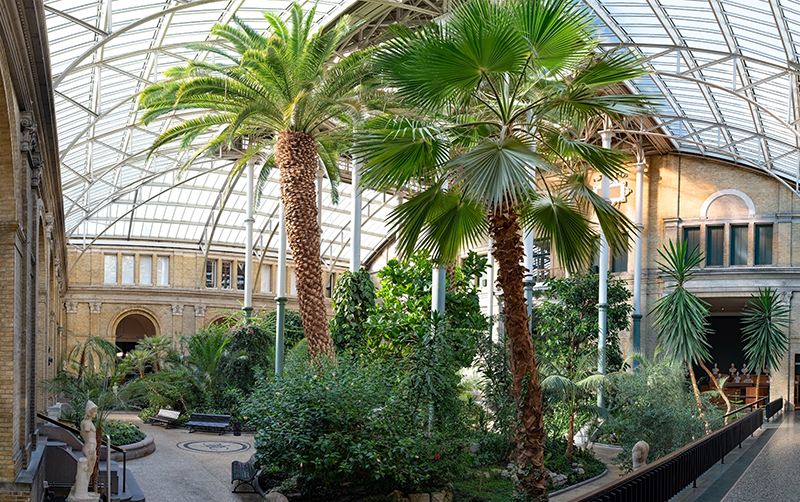 glass house architecture- biophilia- community space