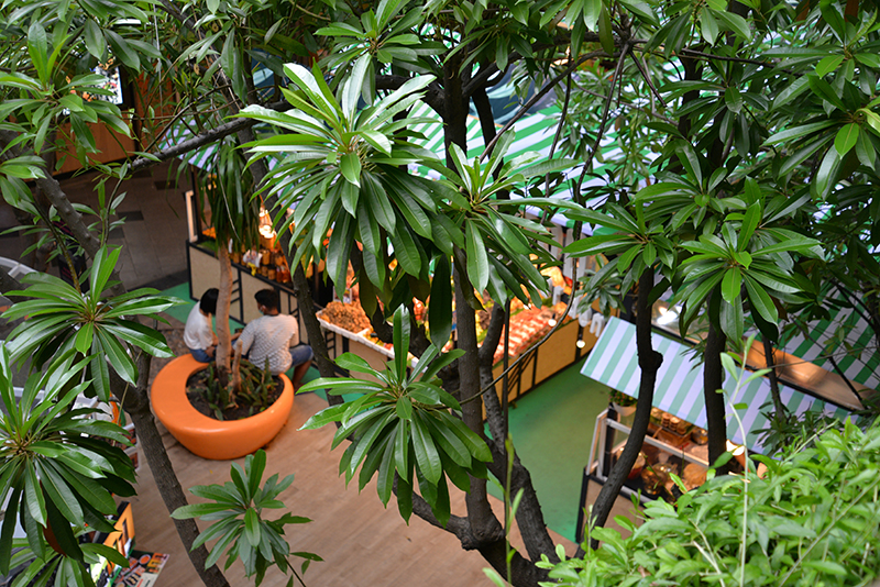 glass house architecture- biophilia- cafe