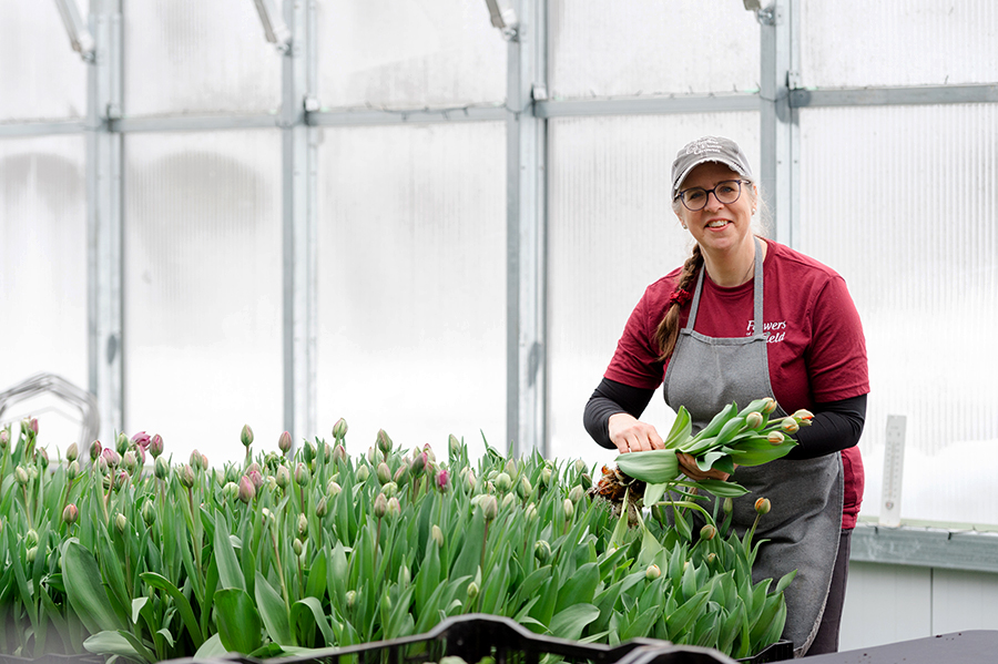 Flowers of the Field- inside the greenhouse