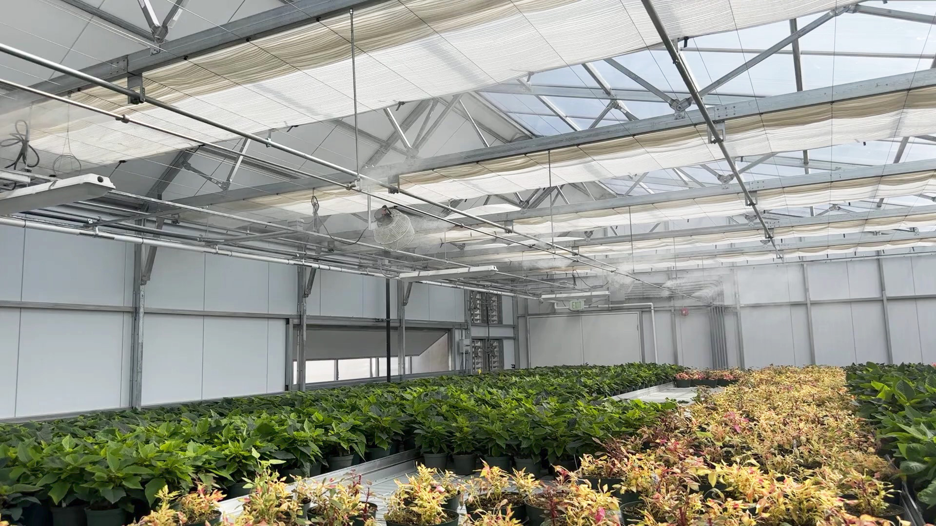 energy curtains in the greenhouse