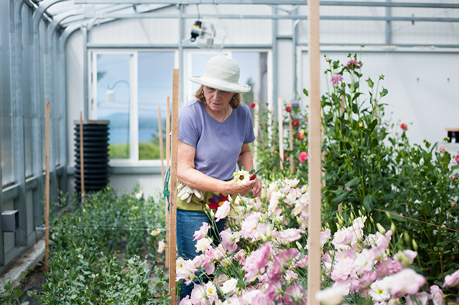 inside greenhouse- flowers