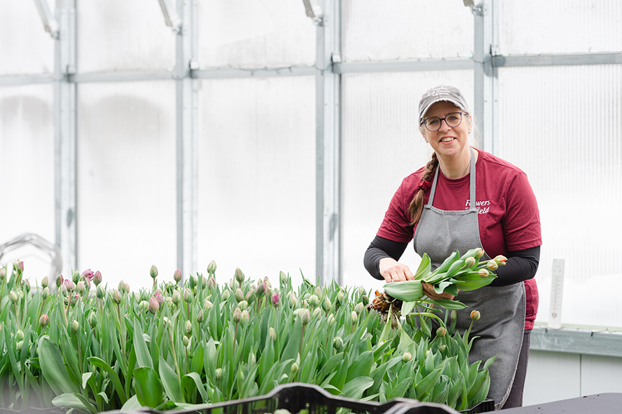 Flowers of the Field- inside greenhouse