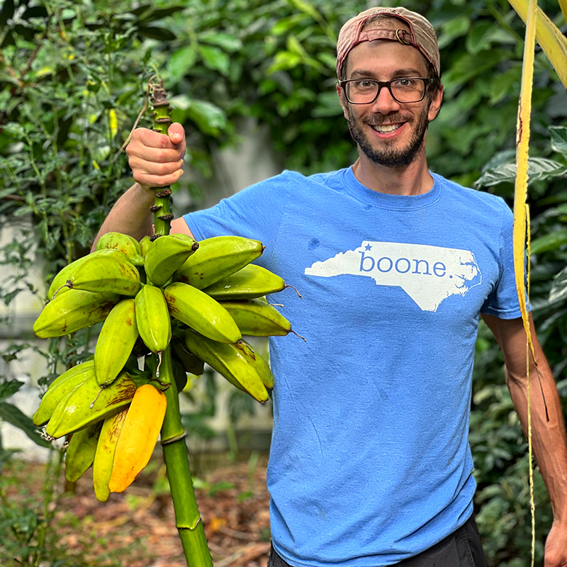grow tropical plants in greenhouse- banana