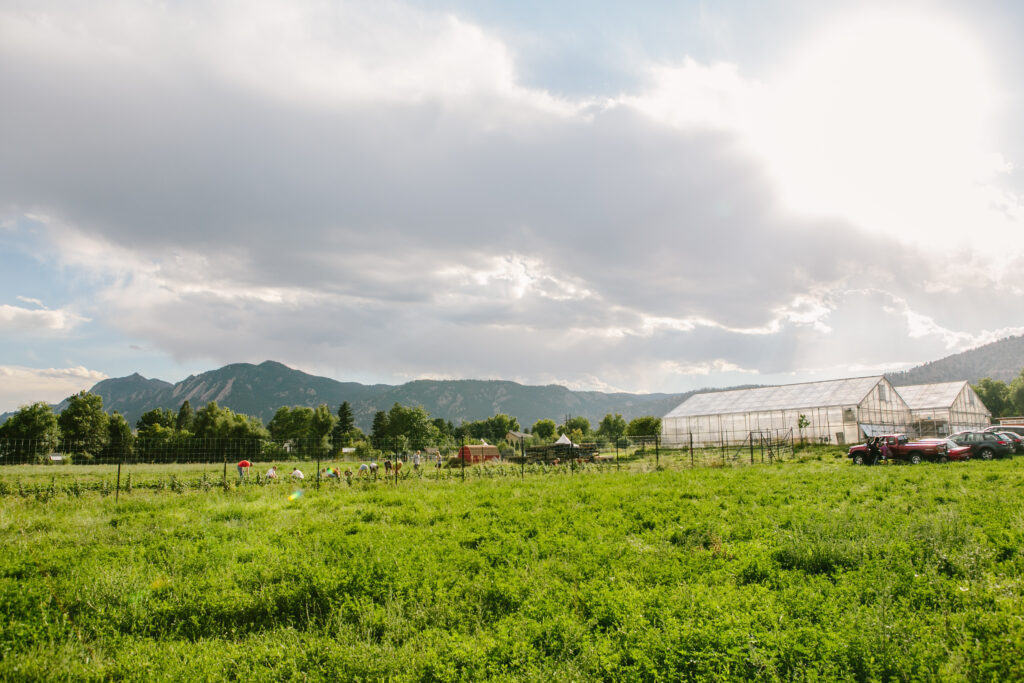 Growing Gardens_5- greenhouses
