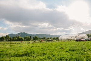 Growing Gardens_5- greenhouses