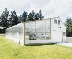 St. Thomas More School- Educational greenhouse