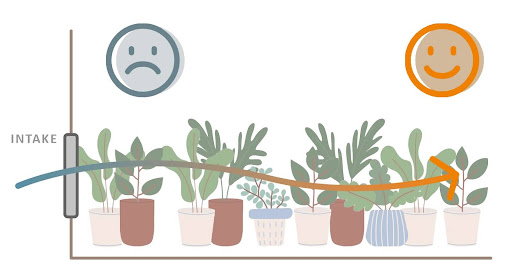 example of low intake vent placement in a greenhouse