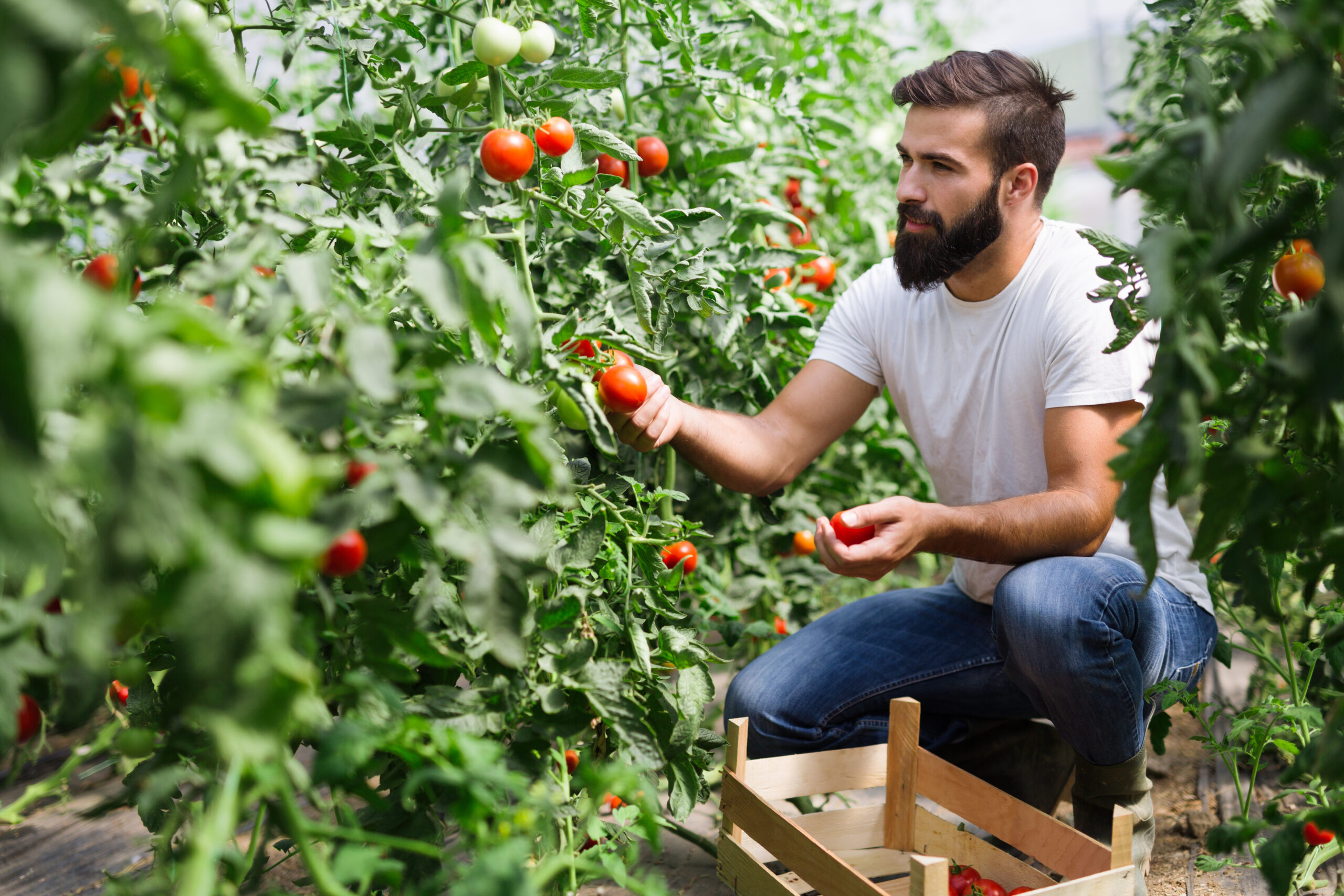 Virginia Ag Tech Funding Opportunities