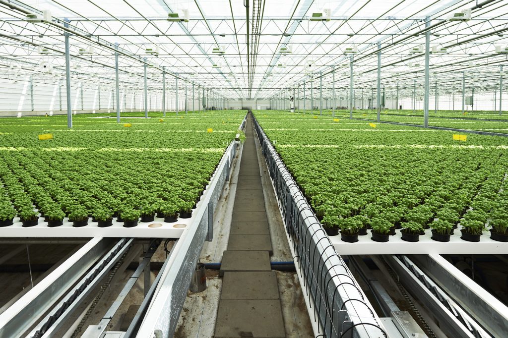 Viemose hydroponic system-
