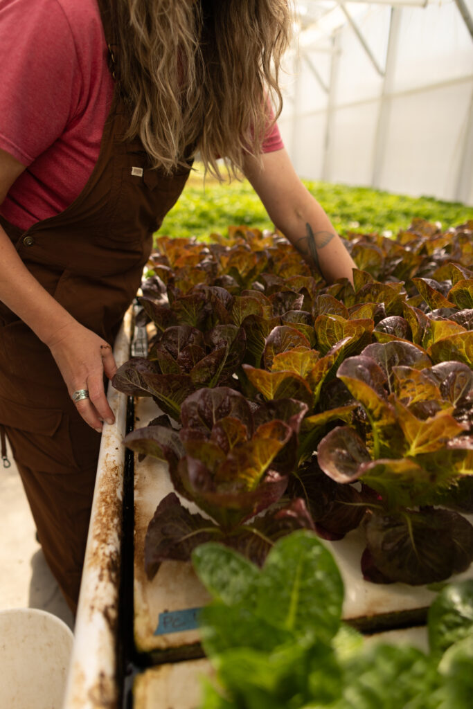 gunnigal aquaponics