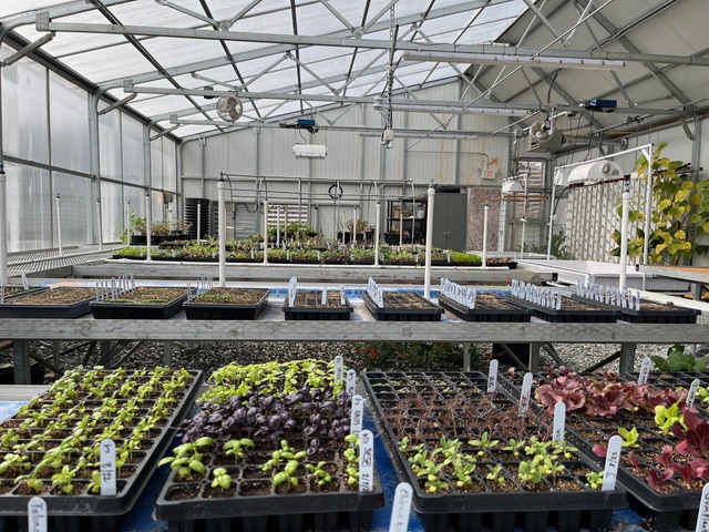 Ceres passive solar greenhouse at App State University