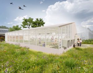 Growing Garden's Ceres Greenhouse Render Boulder, Colorado