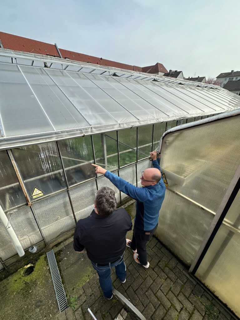 greenhouse consulting