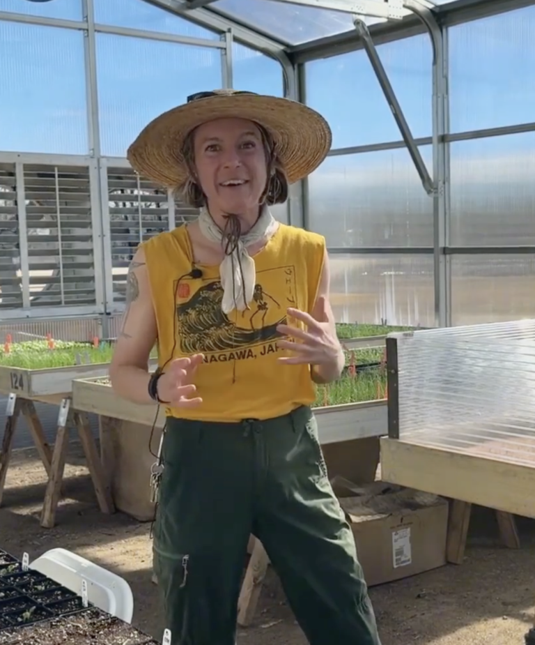 Lauren- Growing Gardens