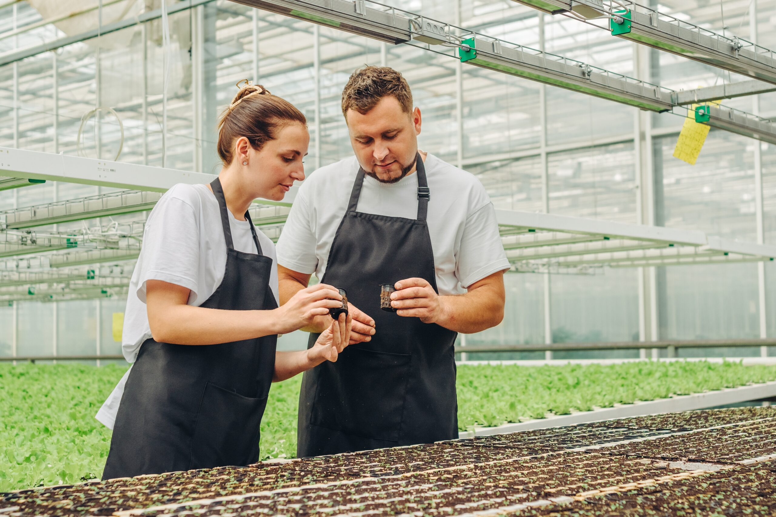 research greenhouse- collecting data