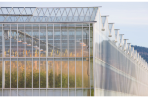imported greenhouse structure- glass greenhouse